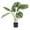 Green Solid Cylinder 34" x 34" x 29", variant on DecMode 38" Tall Artificial Ficus Tree in Realistic Leaves and Black Plastic Pot
