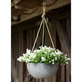 thumbnail image 5 of Root & Vessel Napa Hanging Bowl Planter, Gray, 12", 5 of 5