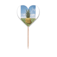 thumbnail image 1 of Fresh Tropical Fruit PineFruit Picture Toothpick Flags Heart Lable Cupcake Picks, 1 of 3