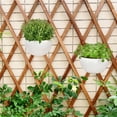 thumbnail image 4 of Wall and Railing Plastic Pots, Hanging Planters with S Hooks, Indoor and Outdoor Half Round Plant Holders for Fence, Balcony or Rails, 4 of 9