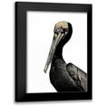thumbnail image 1 of Ogren, Sarah 12x14 Black Modern Framed Museum Art Print Titled - Brown Pelican, 1 of 5