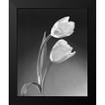 thumbnail image 2 of Stefanich, Dick and Diane 20x24 Black Modern Framed Museum Art Print Titled - Tulip Duo, 2 of 5