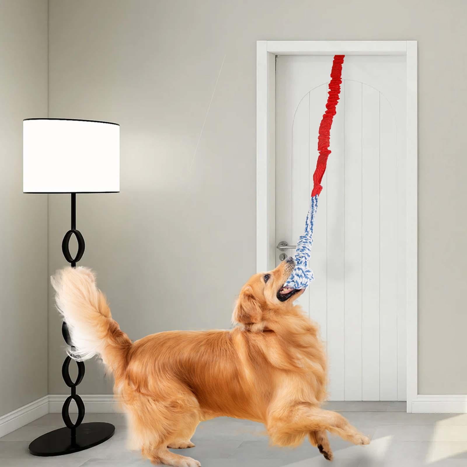 Dog Outdoor Hanging Toy Teething Chew Toy Door Hanging Tug Toy Tug of War Toy for Small Large Dogs Indoor Exercise Red