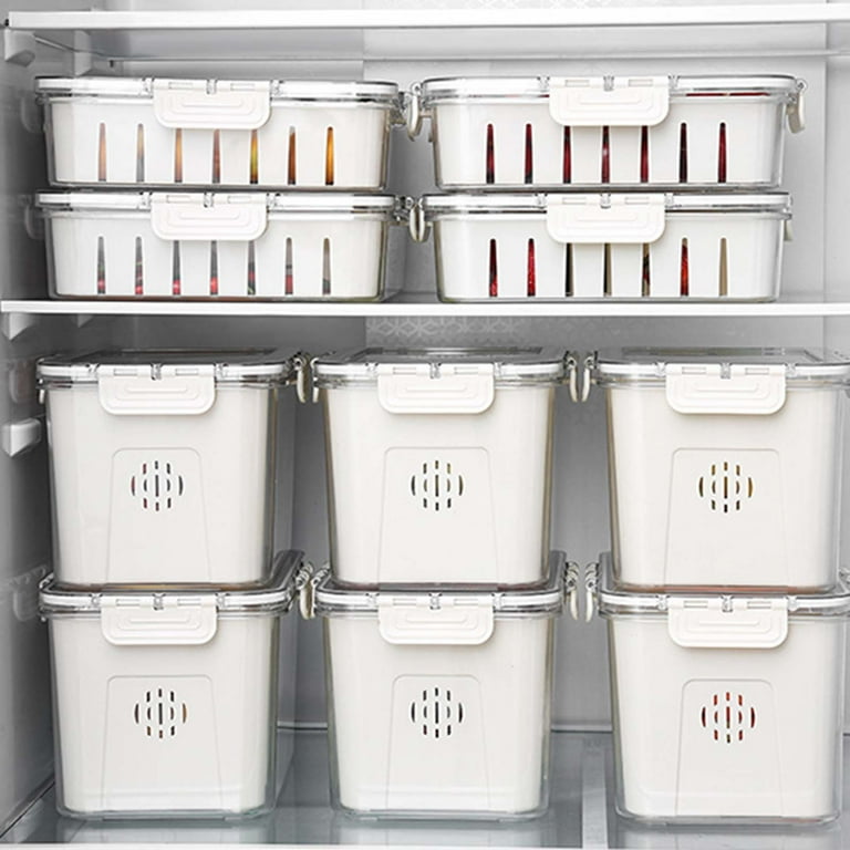 Divided dog food container online