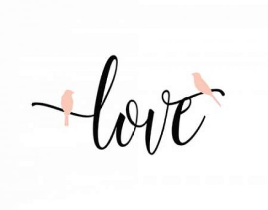 Pink Love Birds Can