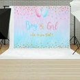 thumbnail image 3 of Boy or Girl Gender Reveal Photography Backdrop Baby Photo Background, 3 of 6