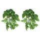 thumbnail image 4 of Planta de reptiles de plástico, planta de agua artificial de 2 piezas Planta de plástico artificial Enredadera colgante artificial Rendimiento de alta gama, 4 of 8