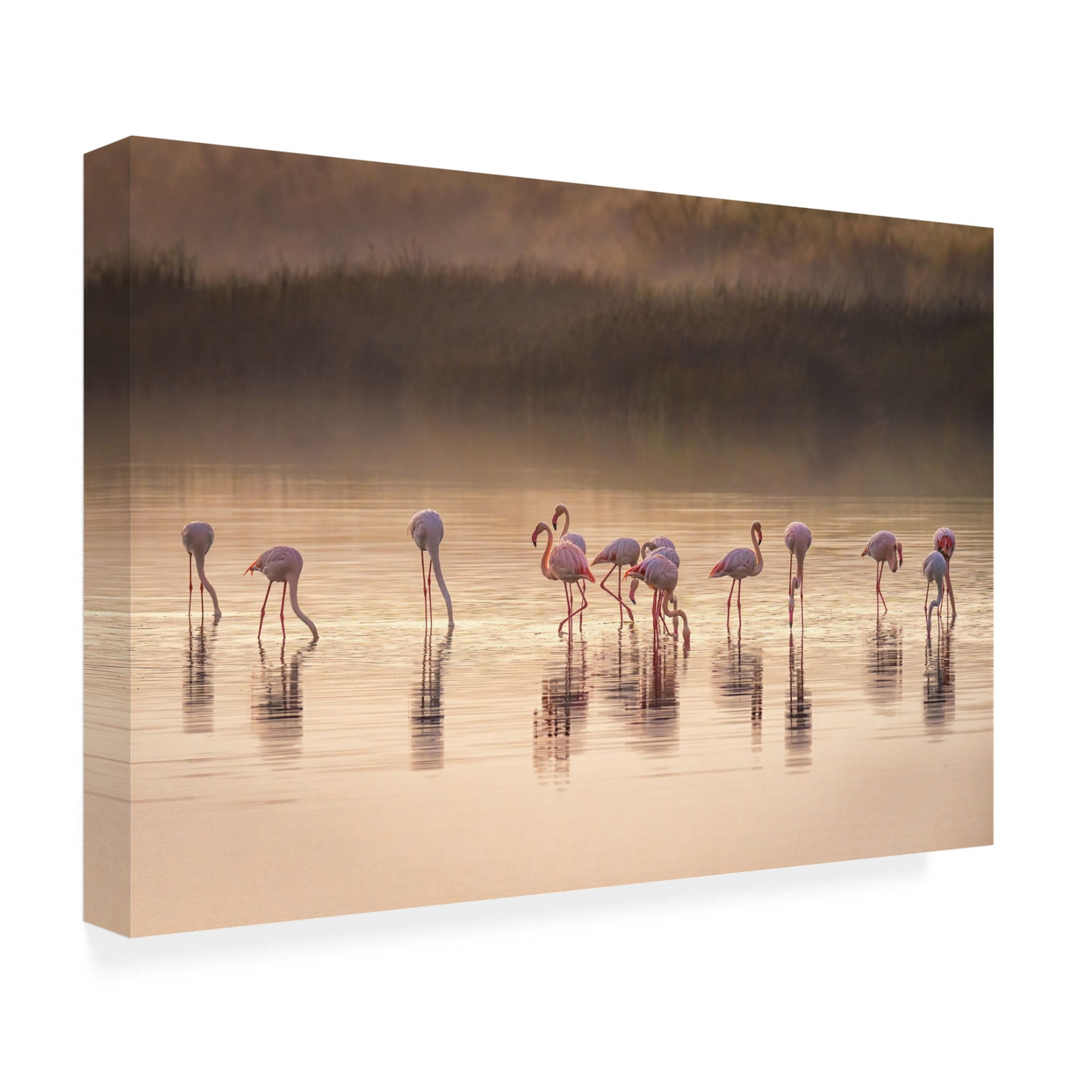Canvas Wall Art - Jeffrey C. Sink 'Photographic Ode To Monet' Wall Art for Living Room, Bedroom, or Office Décor by Trademark Fine Art - 24 x 16 Inches