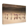 thumbnail image 4 of Canvas Wall Art - Jeffrey C. Sink 'Photographic Ode To Monet' Wall Art for Living Room, Bedroom, or Office Décor by Trademark Fine Art - 32 x 22 Inches, 4 of 4