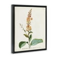 thumbnail image 2 of Stupell Industries Botanical Plant Illustration Flowers Vintage Design Jet Black Framed Floating Canvas Wall Art, 24x30, by World Art Group, 2 of 5
