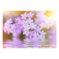 thumbnail image 3 of Tiptophomedecor Floral Wallpaper Wall Mural - Violet Petals In Bloom, 3 of 4