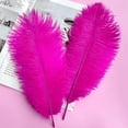 thumbnail image 4 of 20 pcs Fuchsia Ostrich Feather 12-14 inch(30-35 cm) Bulk for Wedding Party Centerpieces and DIY Clothes Decoration, Gatsby Decorations, 4 of 6