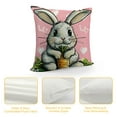 thumbnail image 4 of Nawypu Easter Pillow Covers Rabbit Bunny Carrot Pink Pillow Covers Peep Gnomes Easter Throw Pillow Covers Black and White Happy Spring Indoor Home Decoration for Sofa Couch Bed, 4 of 5