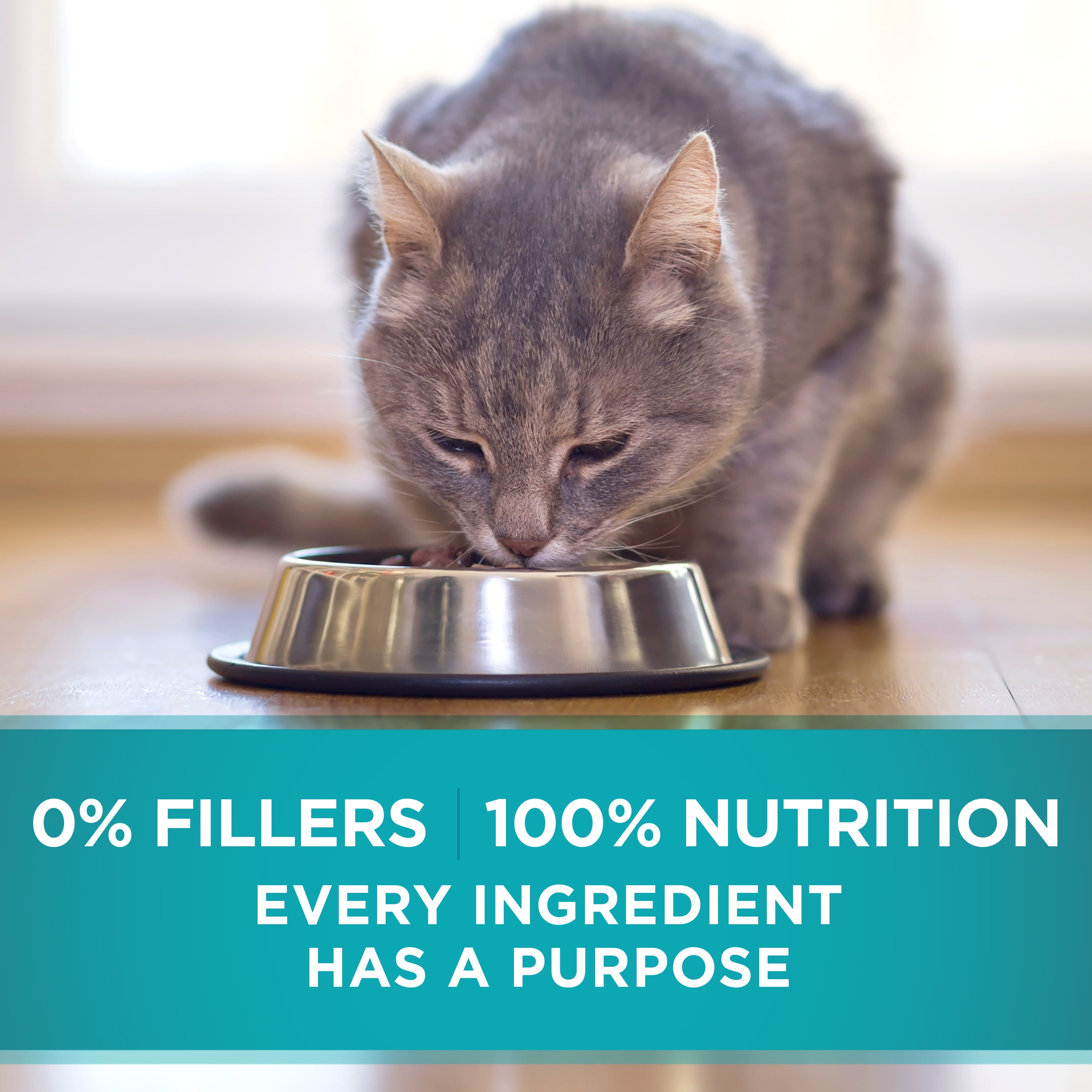 purina one urinary tract health cat food