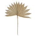 thumbnail image 1 of Vickerman 20" Palm Sun Spear Natural 50/pk, 1 of 1