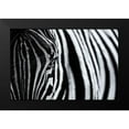 thumbnail image 2 of Tagliarino, Marco 14x11 Black Modern Framed Museum Art Print Titled - The Look Of Nature, 2 of 5