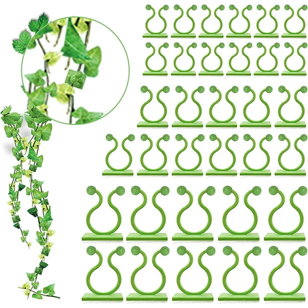 Curated visual reference: Zshan Pack Of 100 Wall Supports For Climbing Plants 3 Photo Inspiration