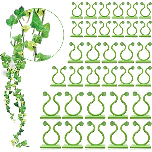 Paquete de 100 soportes para plantas trepadoras montados en la pared - 3 tamaños - Ganchos autoadhesivos - Fijación invisible - Clips de fijación para vegetales (100 clips verdes) Sincero Electrónica