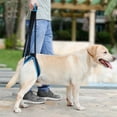 thumbnail image 5 of Duuclume Dog Lift Harness Sling Strap,Portable Dog Support Harness for Back Legs,Help Dogs with Weak Rear Legs XL, 5 of 6