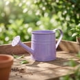 thumbnail image 6 of QAZbgdl Small Watering Can for Indoor Plants Mini HousePlants Watering Can with Handle for Home Garden | Compact Watering Pot for Potted Plants Balcony Outdoor Use | Lightweight Slender Spout, 6 of 9