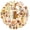 1A-35pcs, variant on 35pcs Vintage Stickers Floral Stationery Stickers Autumn Leaves Nature Stickers for Luggage Laptop Phone