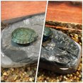 thumbnail image 3 of MasteelfCA 1Pc Turtle Climb Platform Turtle Bask Platform Landscaping Decor (Light Grey), 3 of 8
