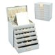 thumbnail image 1 of Joyero Organizador de 6 Niveles con Espejo, Caja de Joyas de Cuero con Cajones de 5 Capas, Regalo para Mujer,Alahero Joyero Mujer,adecuada para joyas, Aretes, Anillos (Gris), 1 of 7