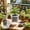 #381-white*Free Size, variant on Cheapark Clear Root Control Pot Orchid Planter Pot Breathable Drainage Transparent Plastic Phalaenopsis Plant Container Gift