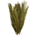 thumbnail image 6 of 43" Tall Dried Plant Natural Foliage Palm Leaf Bouquet with Grass and Feather Inspired Stems, by DecMode, 6 of 7