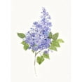 thumbnail image 2 of Swatland, Sally 19x24 Gold Ornate Wood Framed with Double Matting Museum Art Print Titled - Dainty Botanical Lilac, 2 of 4
