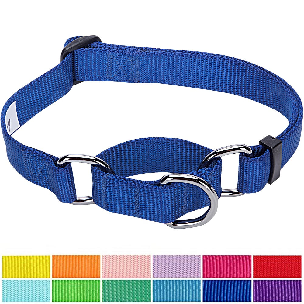 Ready to Upgrade Your Puppy's Collar Game? Check Out These Top 10