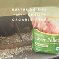 thumbnail image 6 of Manna Pro Organic Layer Pellets, Complete Feed for Laying Hens, 30 lbs, 6 of 7