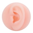 thumbnail image 1 of Modelo profesional de oreja de silicona suave, muestra de oreja falsa, modelo de práctica de acupuntura para oreja, oreja izquierda, 1 of 8