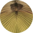 thumbnail image 1 of Ahgly Company Machine Washable Indoor Round Transitional Saddle Brown Area Rugs, 3' Round, 1 of 7