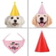 thumbnail image 5 of Party Decoration Dog Costumes Hat For Pet Owners Assorted Color 68X21Cm Pet Birthday Decoration 1 Set (9 Party Hats + 1 Bandana), 5 of 5