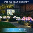 thumbnail image 4 of 6 Pack Solar Garden Lights Outdoor, LED Colorful Waterproof Solar Powered Hydrangea Flowers Landscape Lights for Patio, Outside Yard, Pathway Decorative, Décor, Two Lighting Modes, 4 of 8