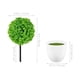 thumbnail image 4 of Wakauto 2pcs Plantas en maceta artificiales Delicadas Simuladas de hierba verde Bola Faux plantas en maceta para la mesa de la casa, 4 of 5