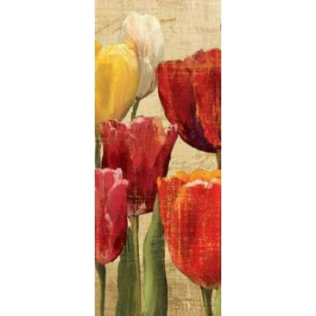 3 Arm Tulip - Tulip Fantasy on Cream III Canvas Art - Marilyn Hageman (10 x 20)