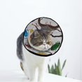 thumbnail image 1 of Coccinella Septempunctata Collier de Récupération Doux pour Chat et Chien, Cône Ajustable, Protection après Chirurgie, 1 of 7