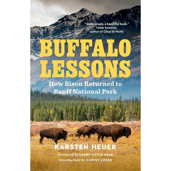 Buffalo Lessons: How Bison Returned to Banff National Park, (Paperback)