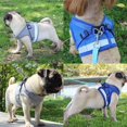 thumbnail image 3 of Arnés para perros de pavo real para Chihuahua Pug Control de mascotas de malla para caminar chaleco arnés y correa, 3 of 3