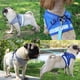 thumbnail image 3 of Arnés para perros de pavo real para Chihuahua Pug Control de mascotas de malla para caminar chaleco arnés y correa, 3 of 3