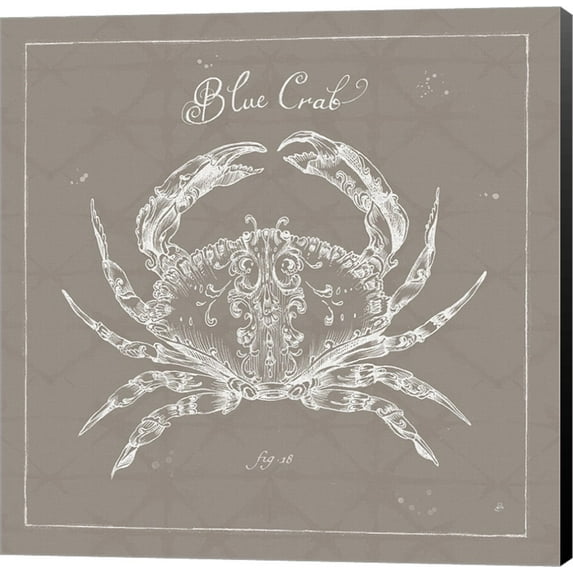 Underwater Life XII Greige by Daphne Brissonnet, Canvas Wall Art