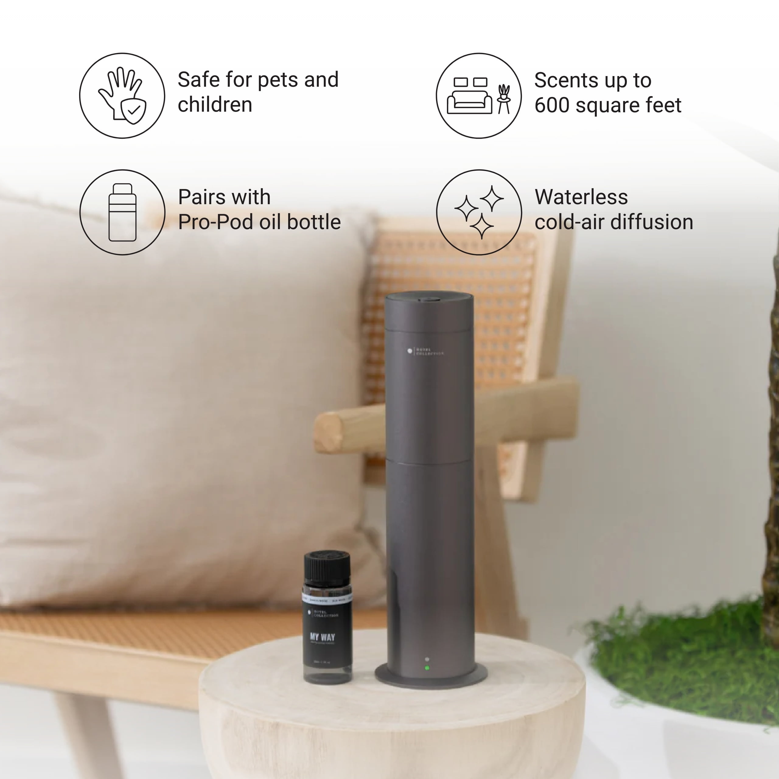 Hotel Collection Studio Pro - Thumbnail 5