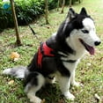 thumbnail image 6 of Deago No Pull Dog Harness Reflective Safety Pet Vest Adjustable Dog Harness With Handle for Small/Medium/Large dogs Outdoor Training Walking Traveling "Red" "Size S", 6 of 9