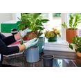 thumbnail image 4 of Shiyou-mélange de Rempotage Tropical - 8.8 L, 4 of 4