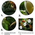 thumbnail image 3 of Designart "Toco Toucan South America Jungle Euphony II" Animals Floater Framed Canvas Art Print, 3 of 7