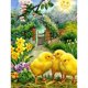 thumbnail image 2 of Cuadros Decorativos 5D bricolaje pollo taladro redondo completo diamante pintura Kit manualidades imagen (A796) Tmvgtek embutido en tela, 2 of 6