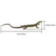thumbnail image 2 of Figura de lagarto, modelo de lagarto falso, juguete de lagarto de plástico, juguete de simulación de reptil., 2 of 7