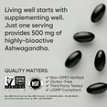 thumbnail image 4 of Sports Research® Ashwagandha 500mg - Natural Stress & Anxiety Support Supplement (120 Veggie Softgels), 4 of 7